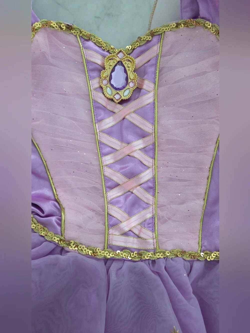 Repunzel Disney Purple and Gold Enchanted Princess Costume
